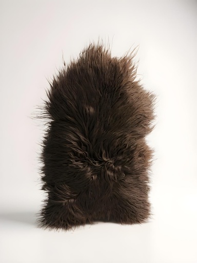 [FEL-00820-10-04-568] Islandschaf 100